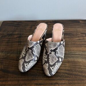J. Crew Women's Leather Snakeskin Mules, Size 7.